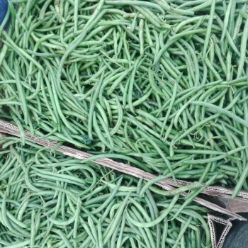 IMG-20190930-WA0038 IMG-20190930-WA0038